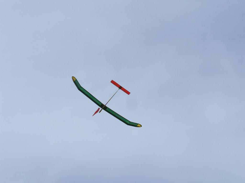 DSCF6539