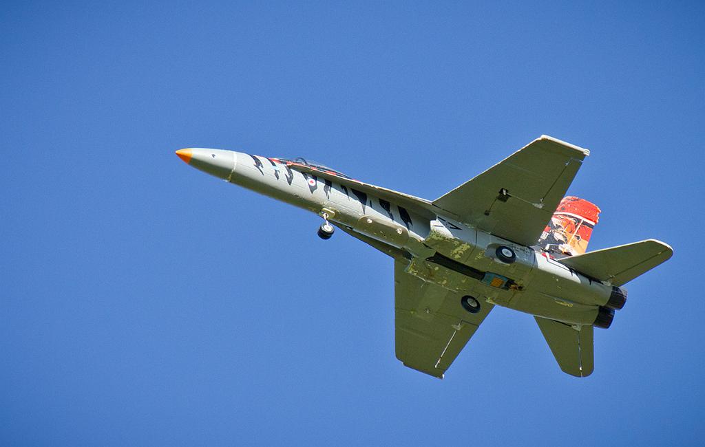 hornet2